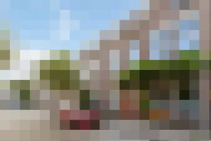 Douwes Dekkerstraat 20 Utrecht thumbnail 7