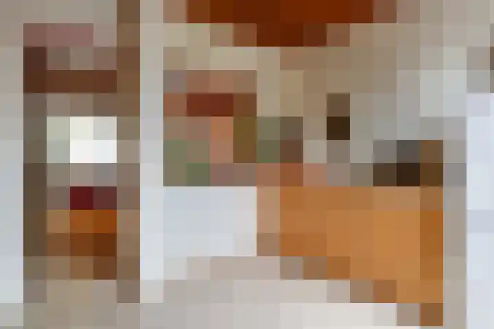 Douwes Dekkerstraat 62 Utrecht thumbnail 11