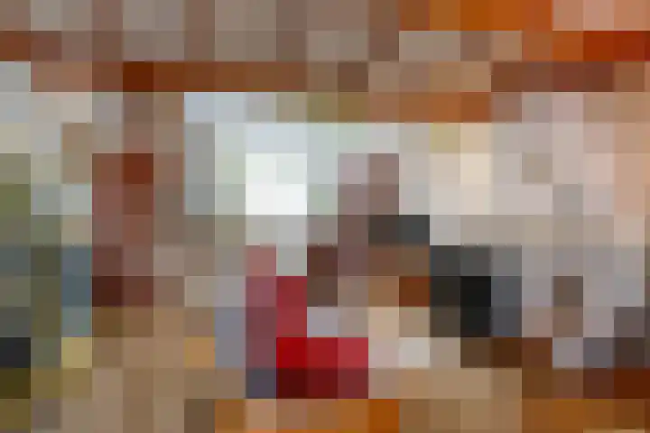 Douwes Dekkerstraat 62 Utrecht thumbnail 5