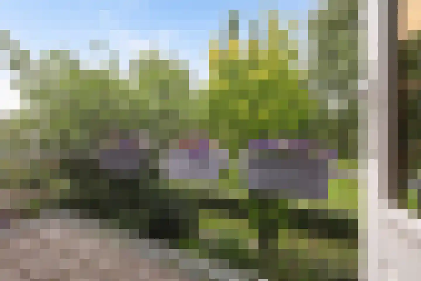 Douwetille 8 Hurdegaryp thumbnail 29