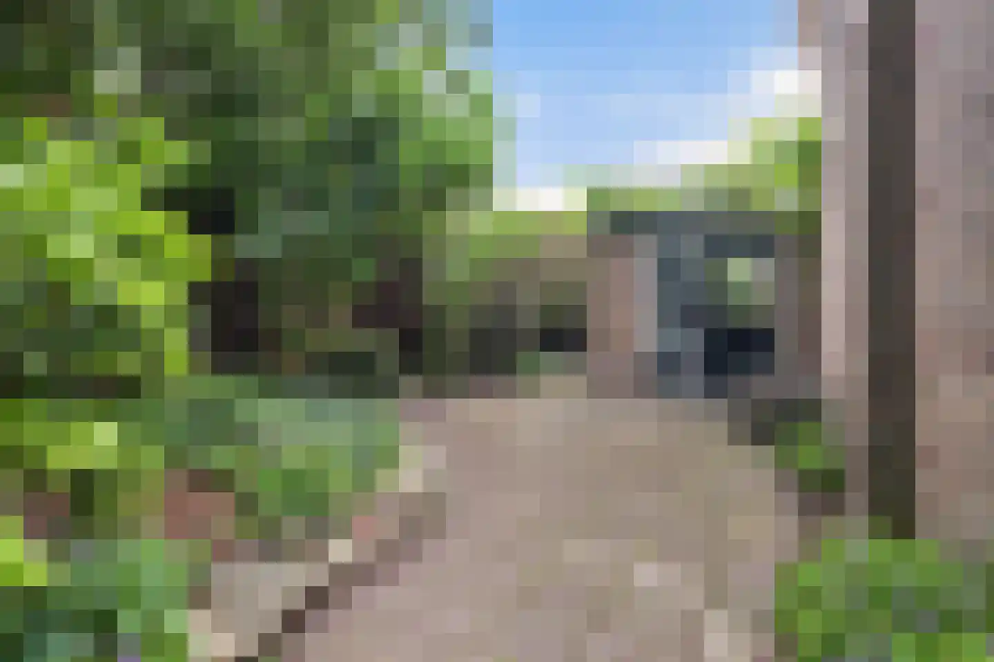 Douwetille 8 Hurdegaryp thumbnail 42