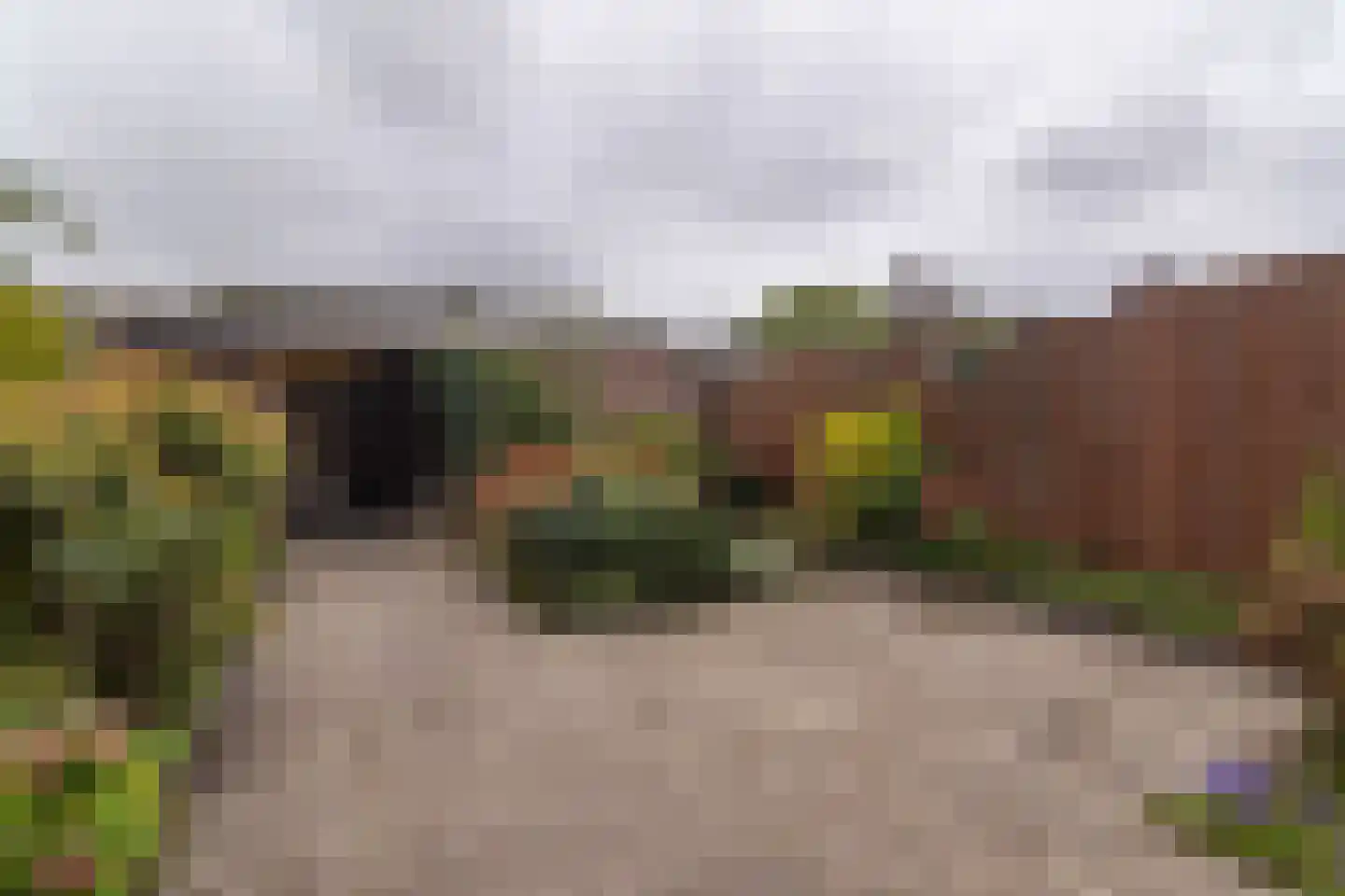 Douzapad 12 Zoetermeer thumbnail 19