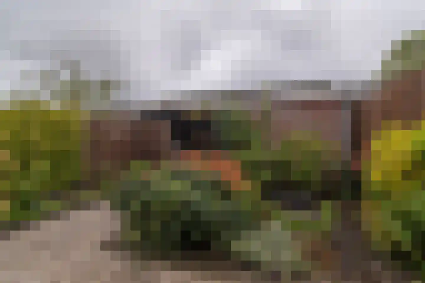 Douzapad 12 Zoetermeer thumbnail 20