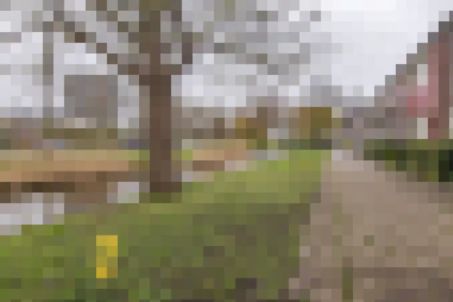 Douzapad 12 Zoetermeer thumbnail 42