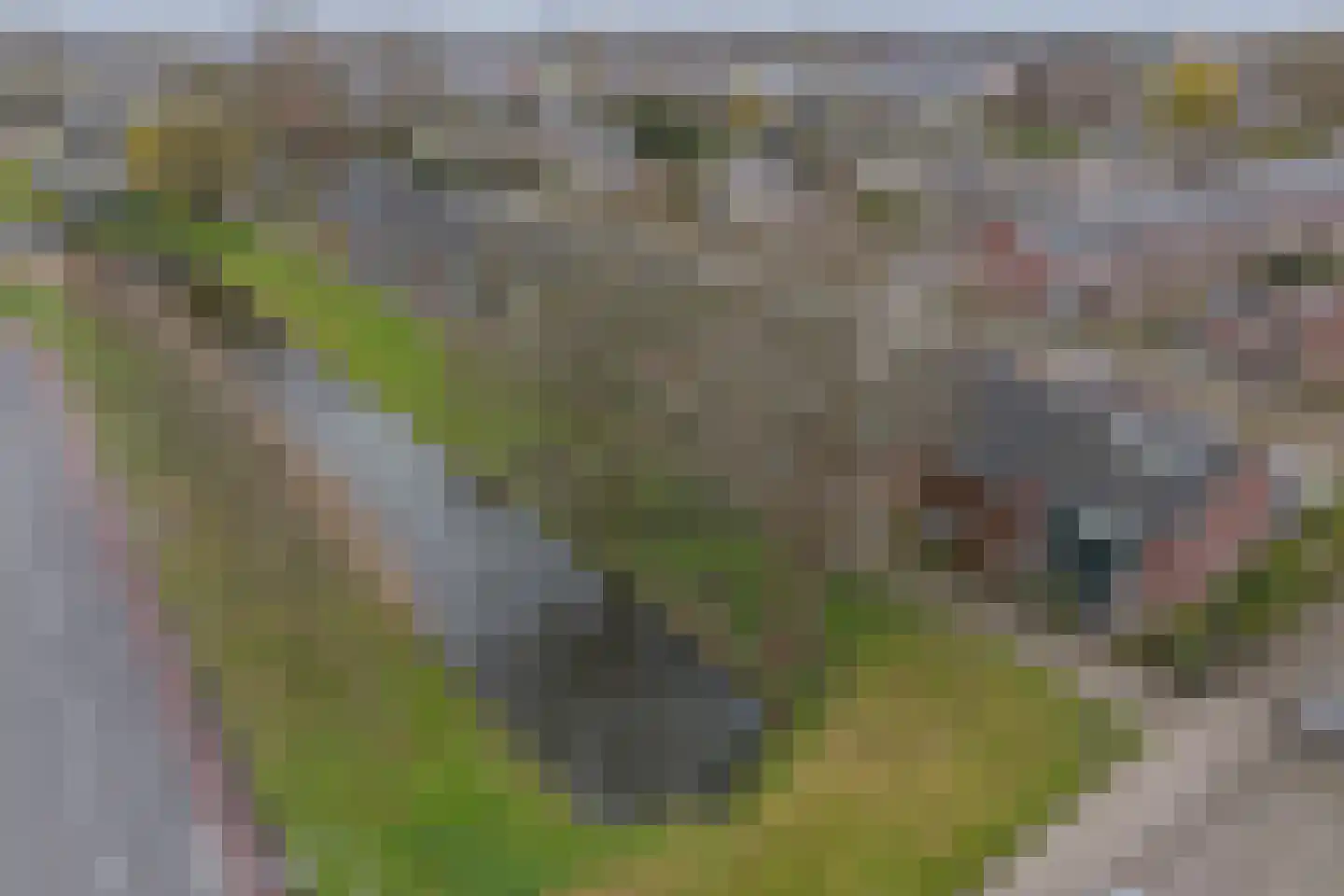Douzapad 12 Zoetermeer thumbnail 46