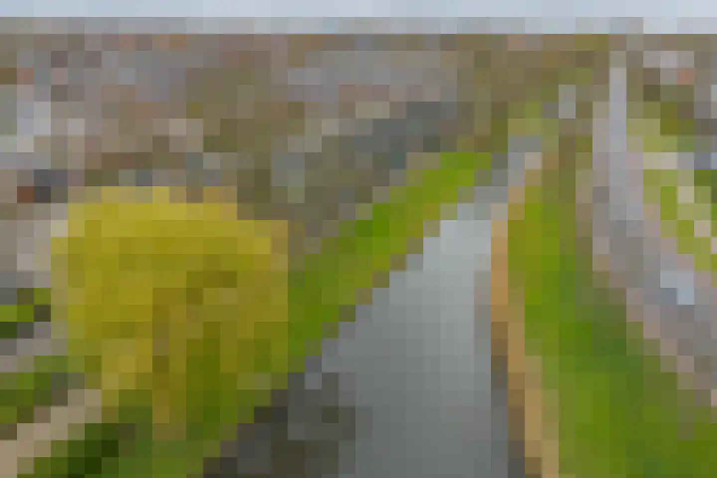 Douzapad 12 Zoetermeer thumbnail 47