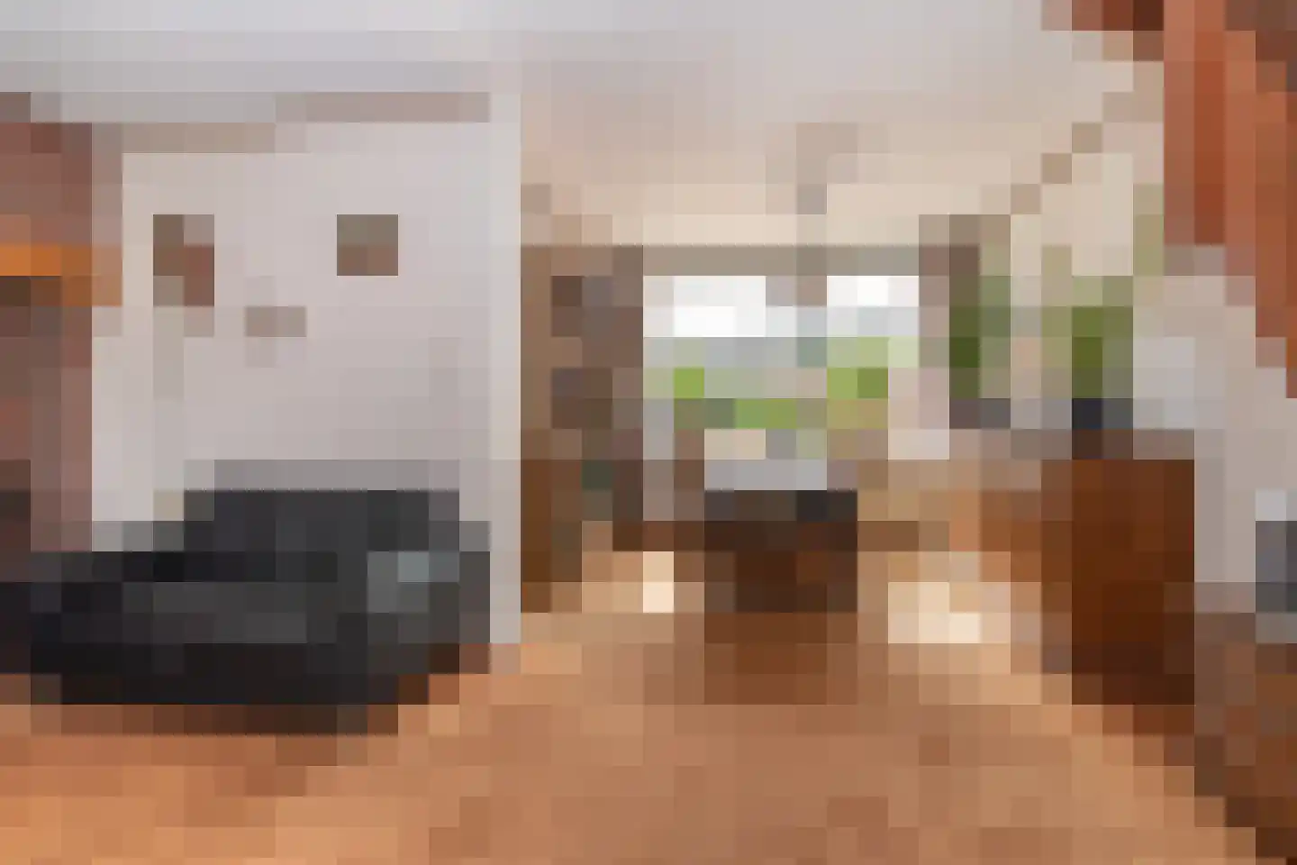 Douzapad 12 Zoetermeer thumbnail 7