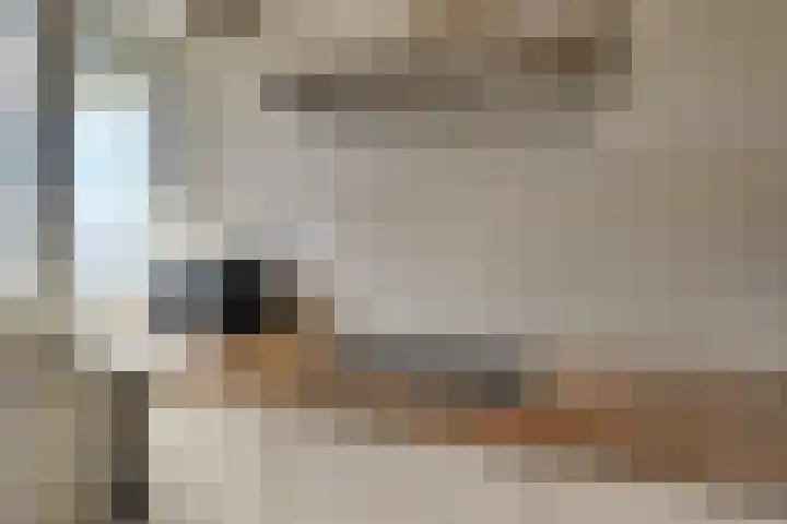 Douzapad 27 Zoetermeer thumbnail 13