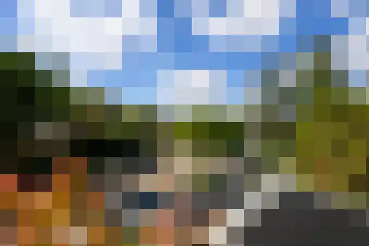 Douzapad 27 Zoetermeer thumbnail 19