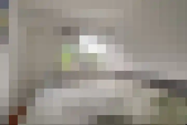 Douzapad 27 Zoetermeer thumbnail 21