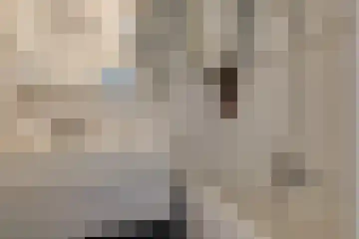 Douzapad 27 Zoetermeer thumbnail 25