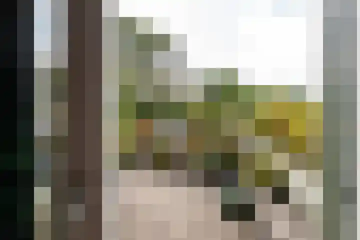 Douzapad 27 Zoetermeer thumbnail 4