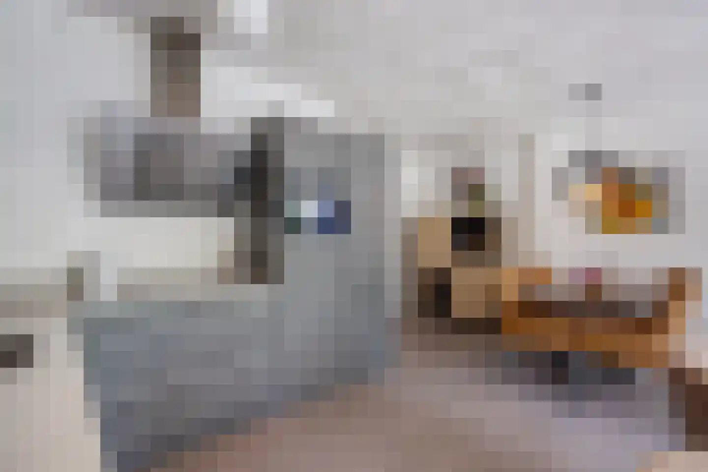 Douzapad 28 Zoetermeer thumbnail 13
