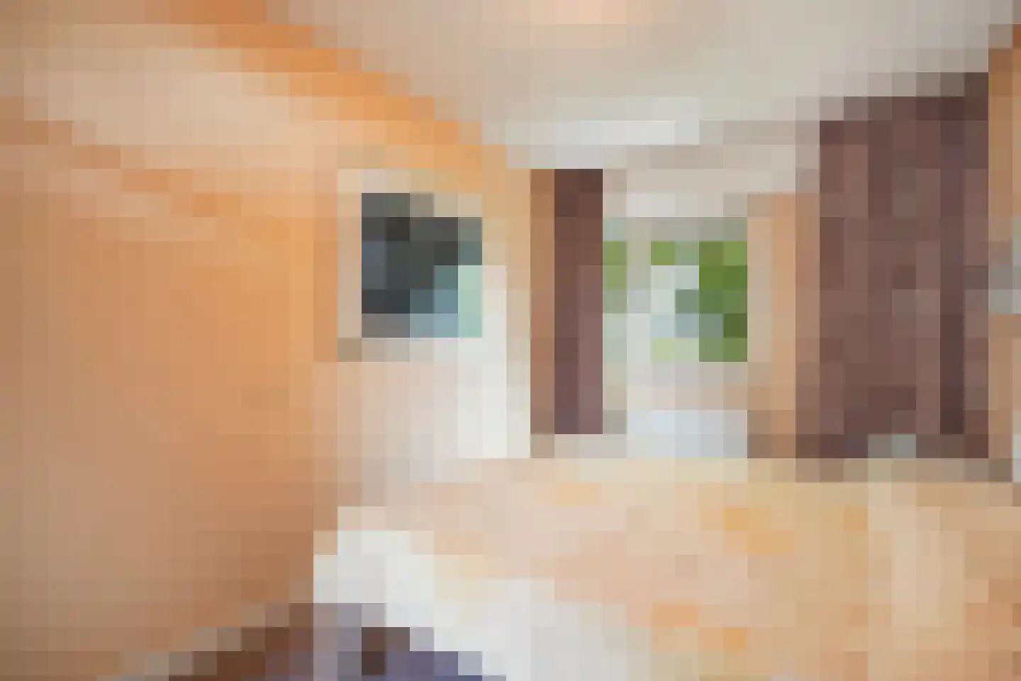 Douzapad 28 Zoetermeer thumbnail 16
