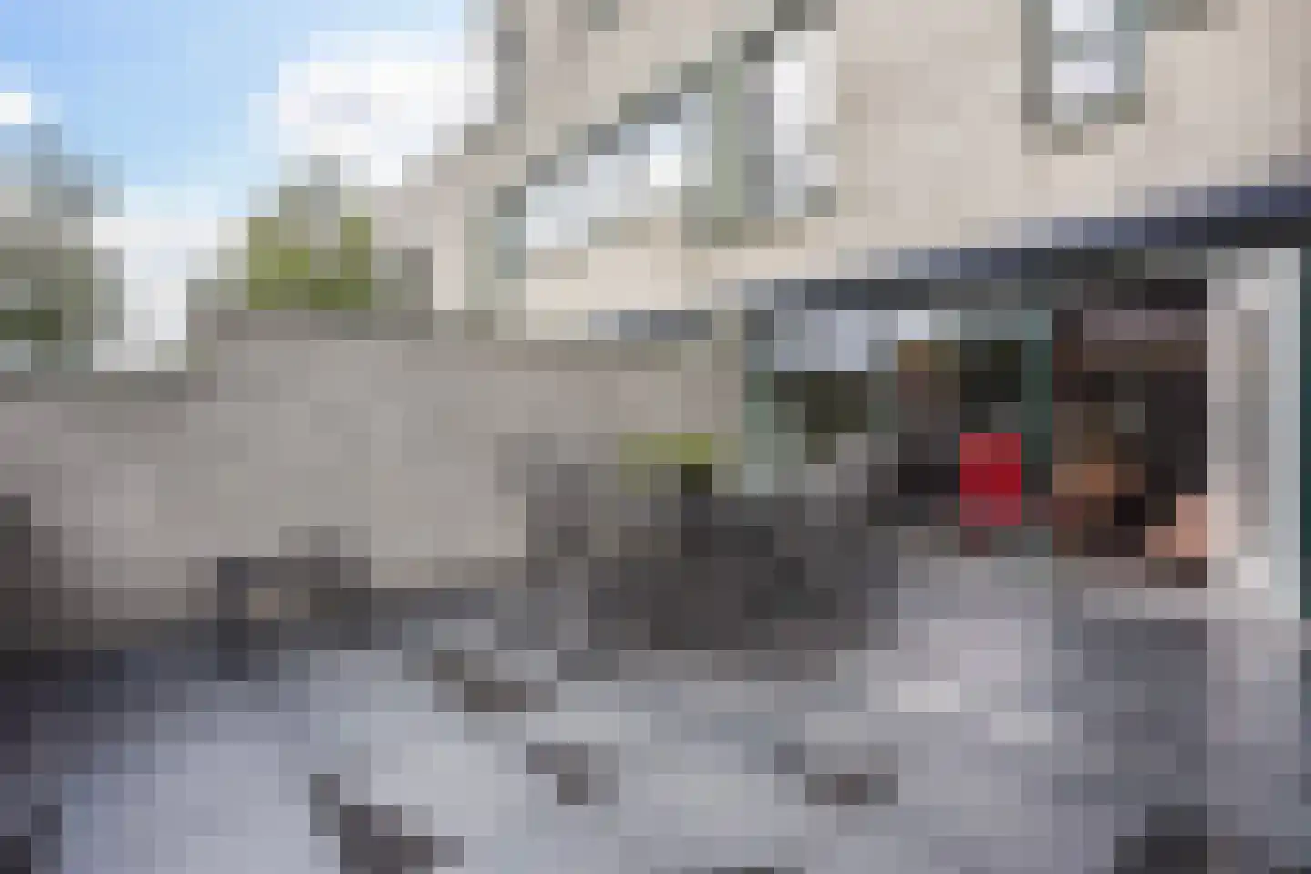 Douzapad 28 Zoetermeer thumbnail 29