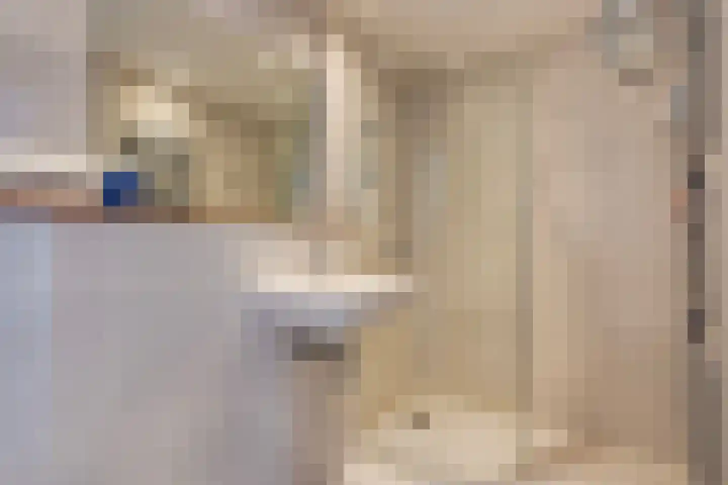 Douzapad 28 Zoetermeer thumbnail 4