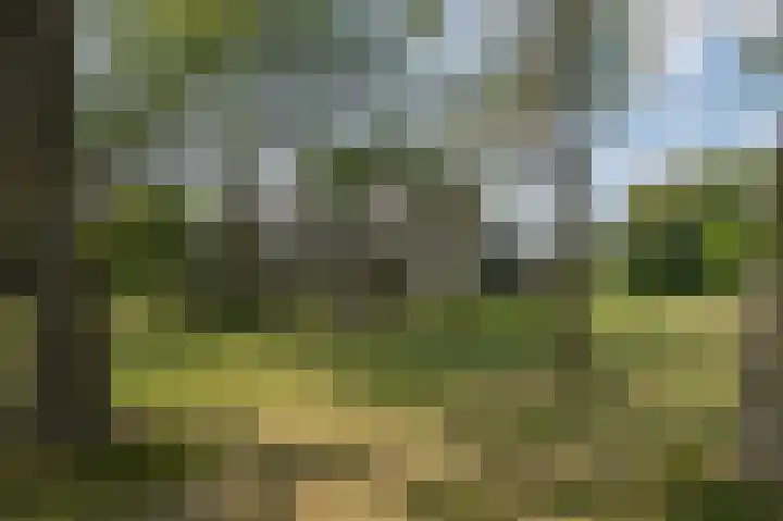 Douzapad 34 Zoetermeer thumbnail 21