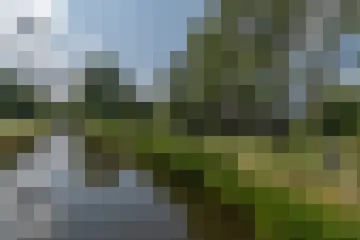 Douzapad 34 Zoetermeer thumbnail 22