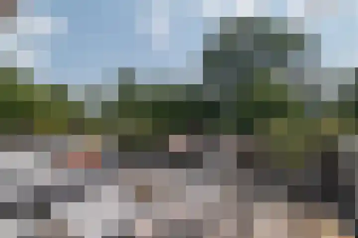 Douzapad 34 Zoetermeer thumbnail 8