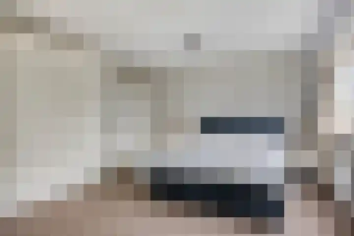 Douzapad 35 Zoetermeer thumbnail 27