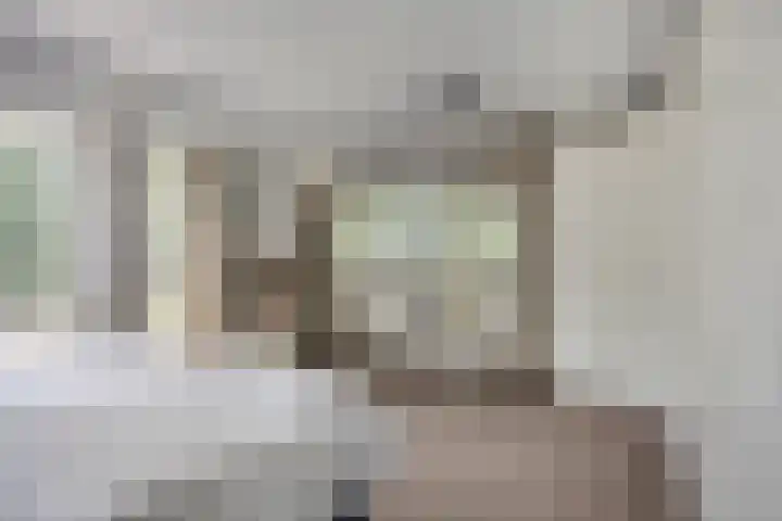 Douzapad 35 Zoetermeer thumbnail 28
