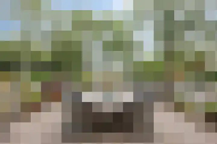 Douzapad 35 Zoetermeer thumbnail 32