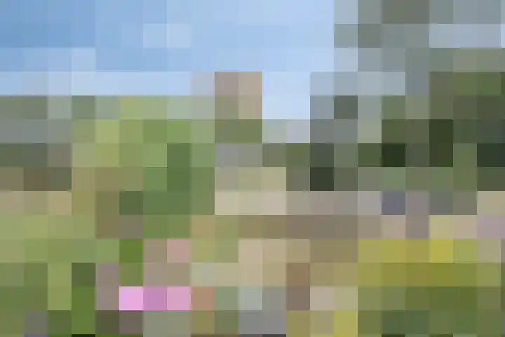 Douzapad 35 Zoetermeer thumbnail 33