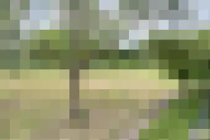 Douzapad 35 Zoetermeer thumbnail 34