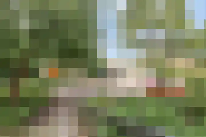 Douzapad 35 Zoetermeer thumbnail 36
