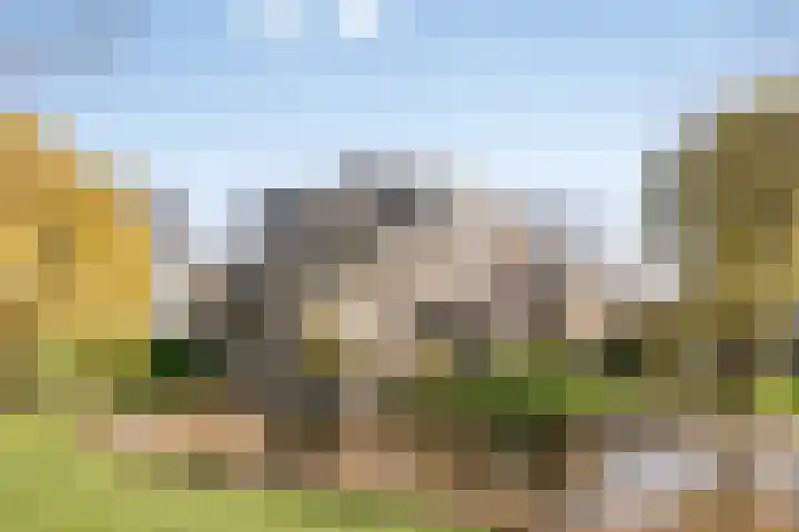 Douzapad 36 in Zoetermeer