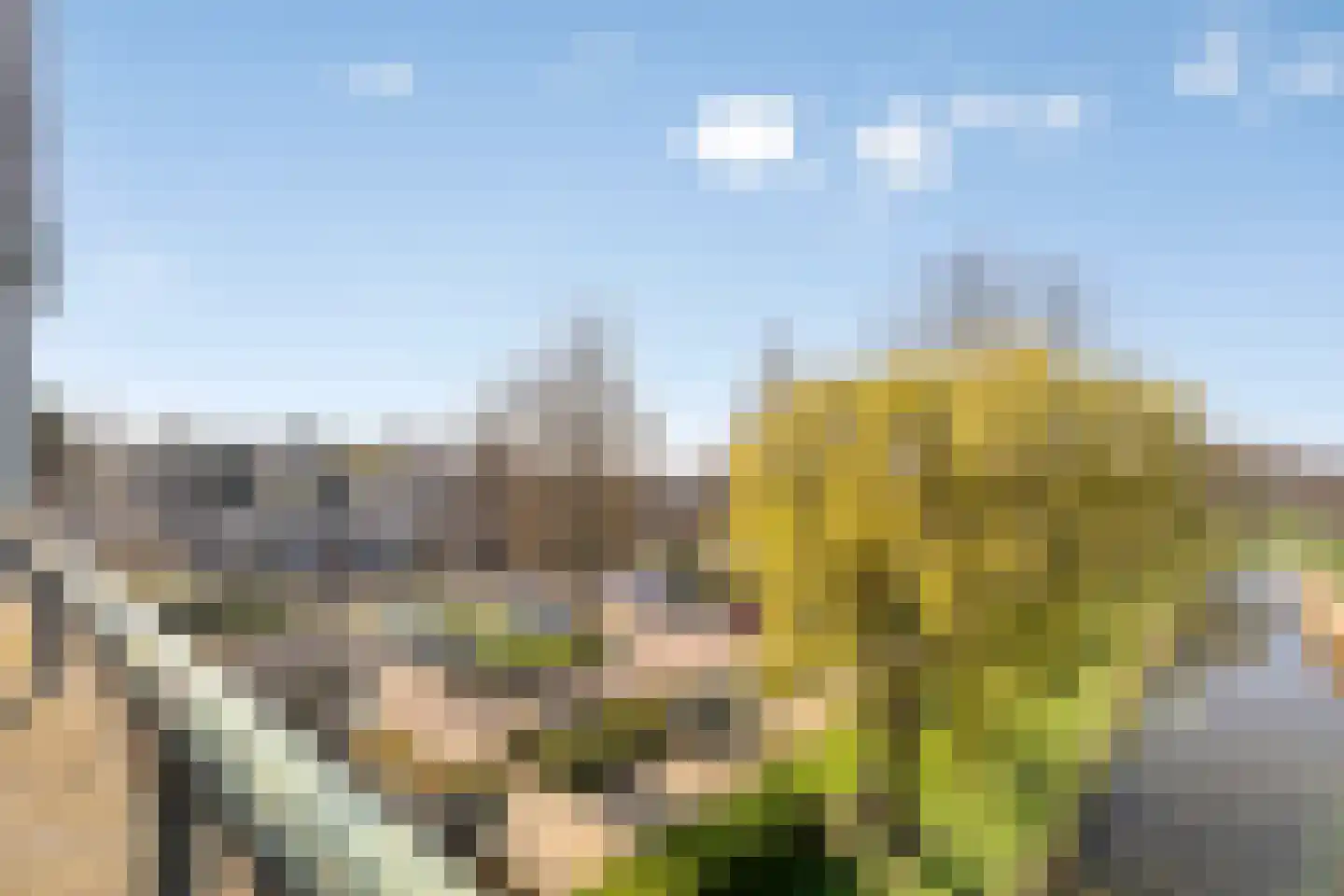Douzapad 36 Zoetermeer thumbnail 11
