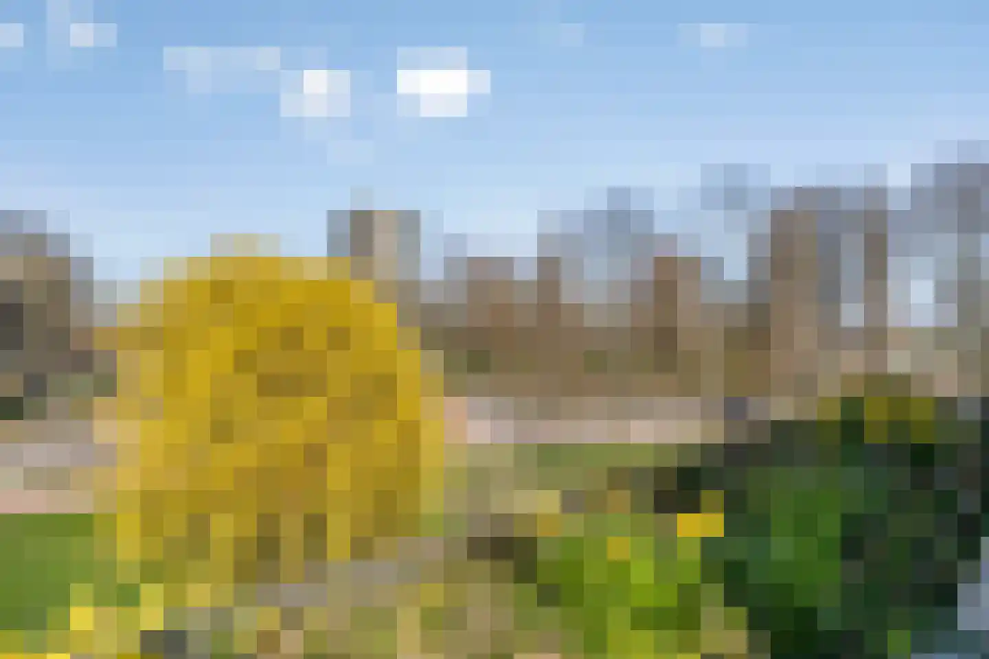 Douzapad 36 Zoetermeer thumbnail 12