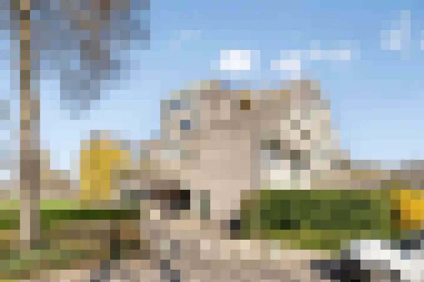 Douzapad 36 Zoetermeer thumbnail 27