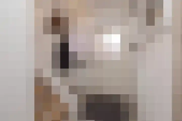 Douzastraat 10 Noordwijk thumbnail 5