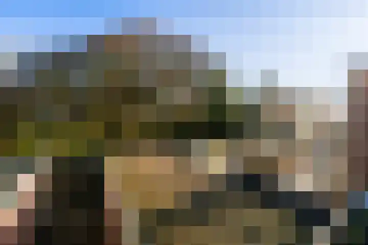 Douzastraat 12 Noordwijk thumbnail 38