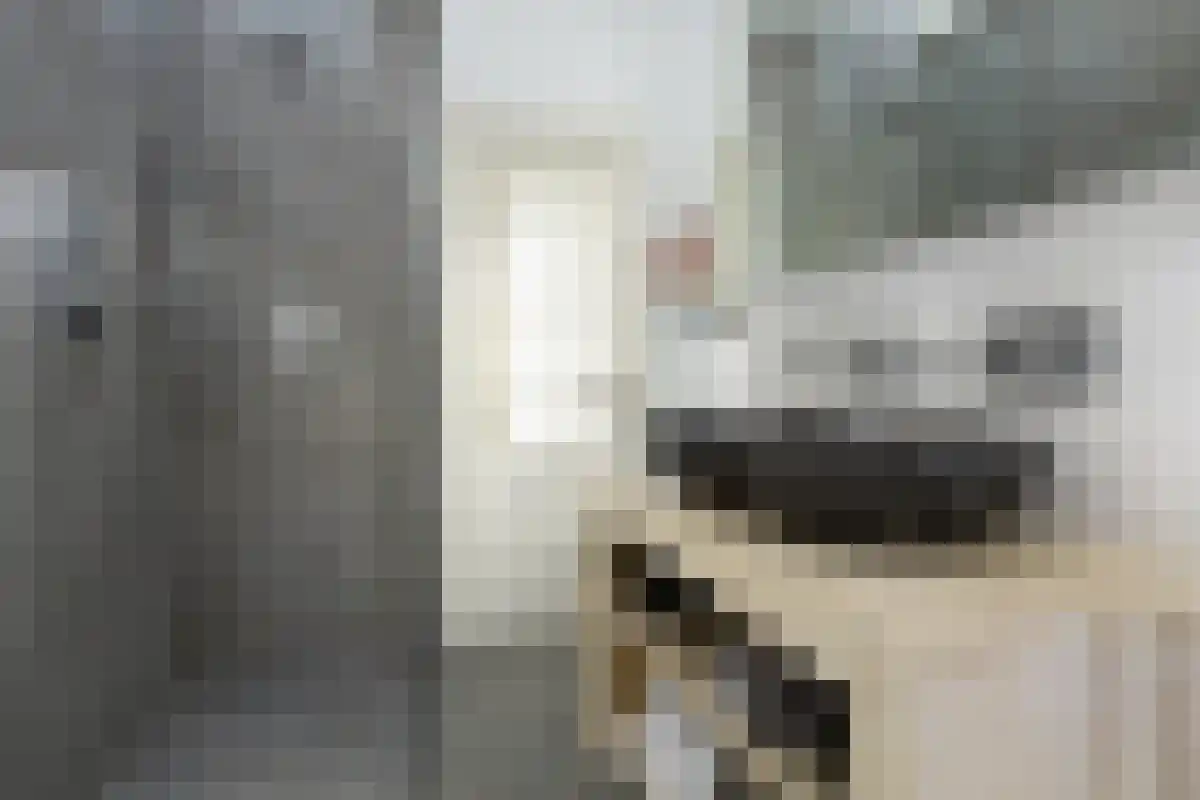 Douzastraat 33 Den Haag thumbnail 6