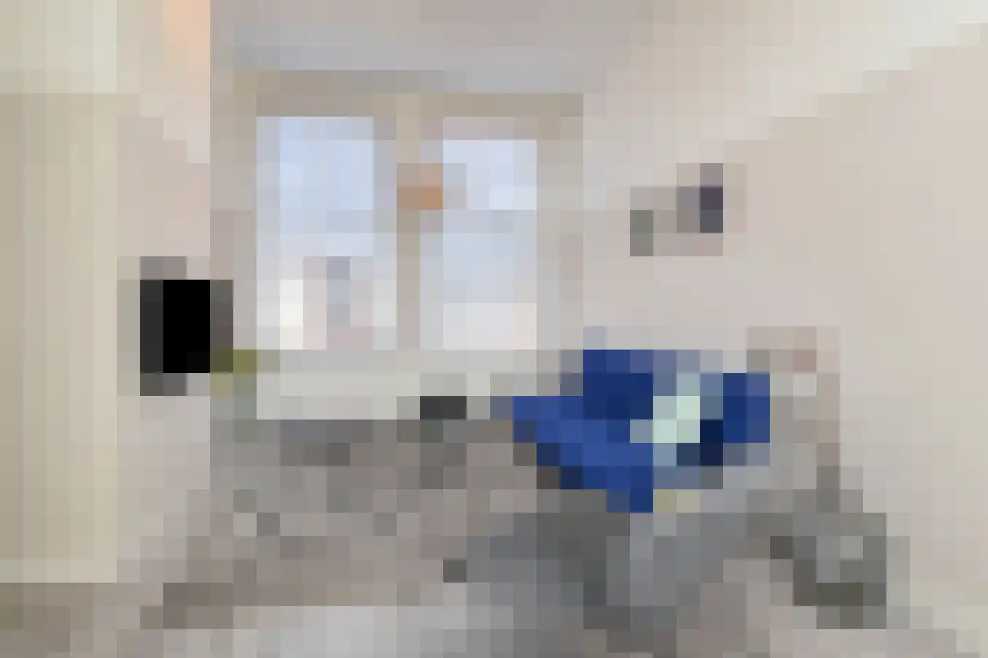 Douzastraat 34 Den Haag thumbnail 10