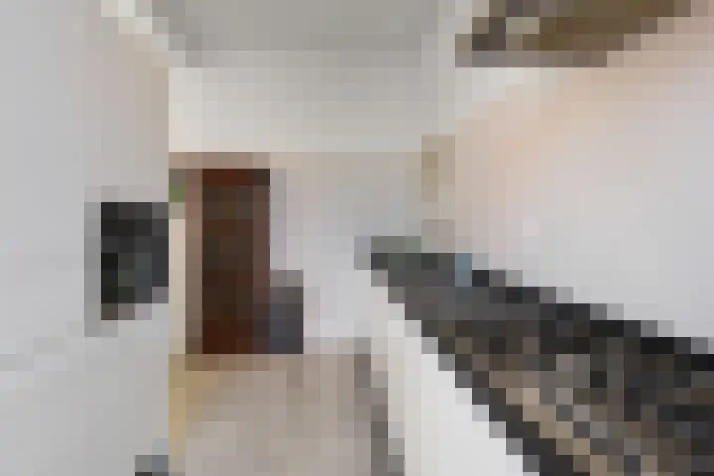 Douzastraat 34 Den Haag thumbnail 15