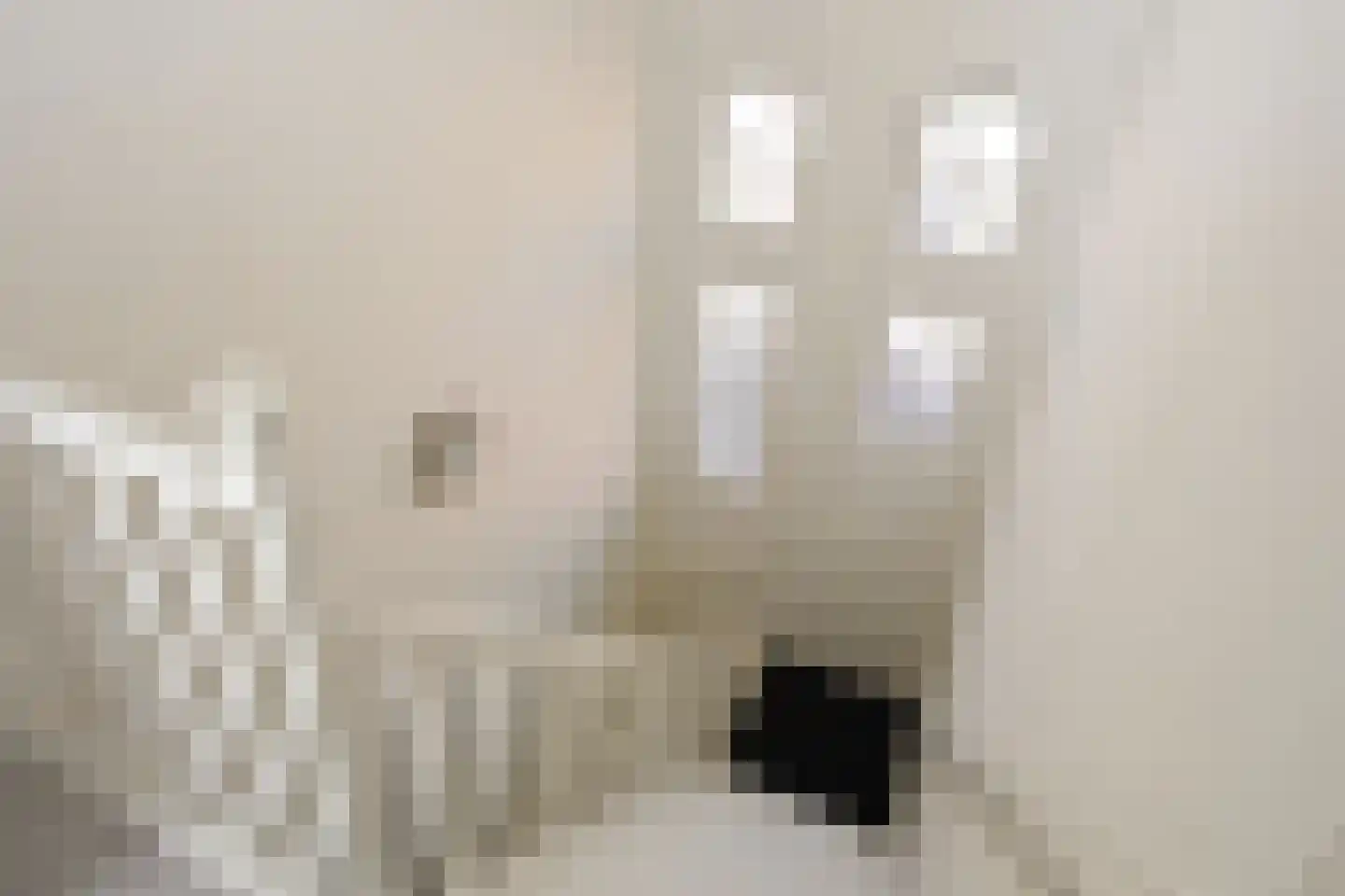 Douzastraat 34 Den Haag thumbnail 31