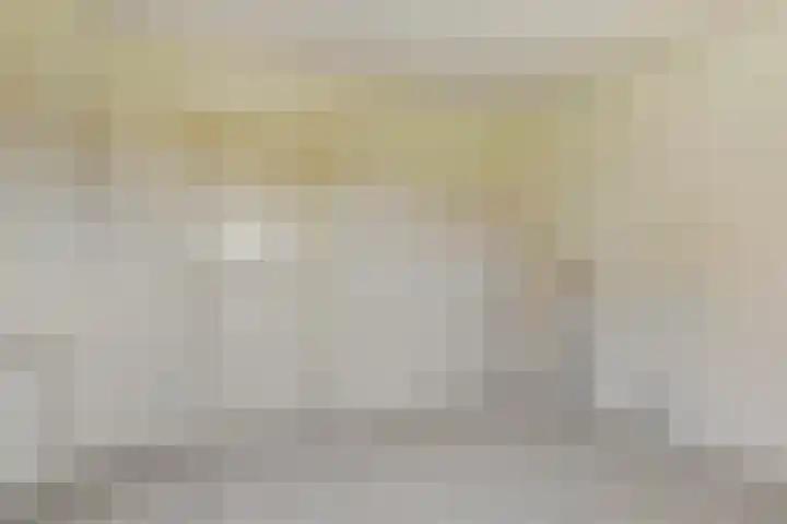Dovenetel 10 Udenhout thumbnail 12