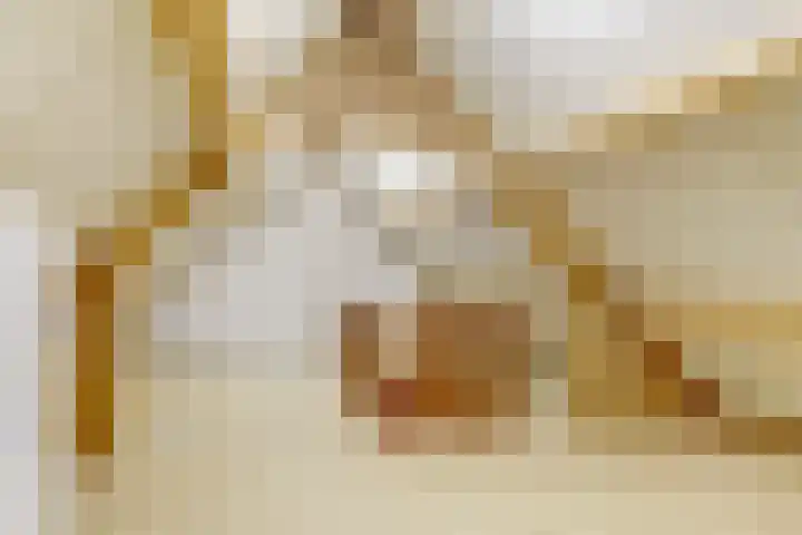 Dovenetel 10 Udenhout thumbnail 30
