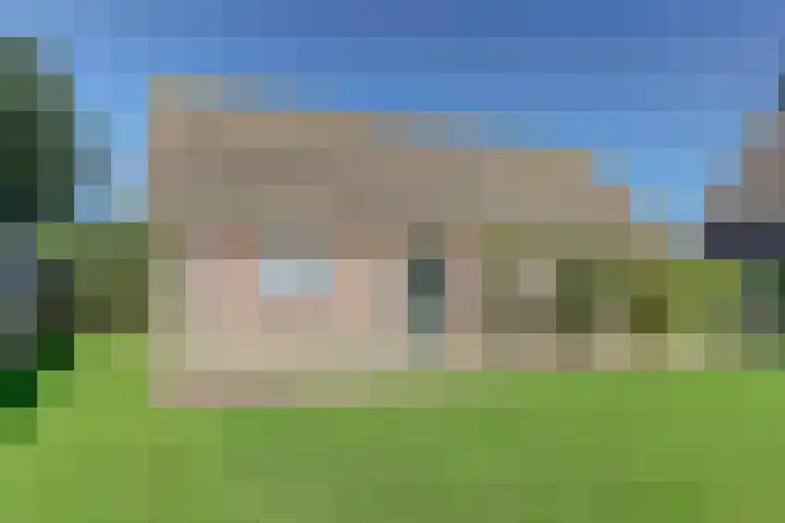 Dovenetel 10 Udenhout thumbnail 33