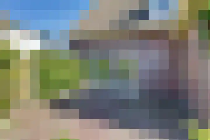 Dovenetel 10 Udenhout thumbnail 34