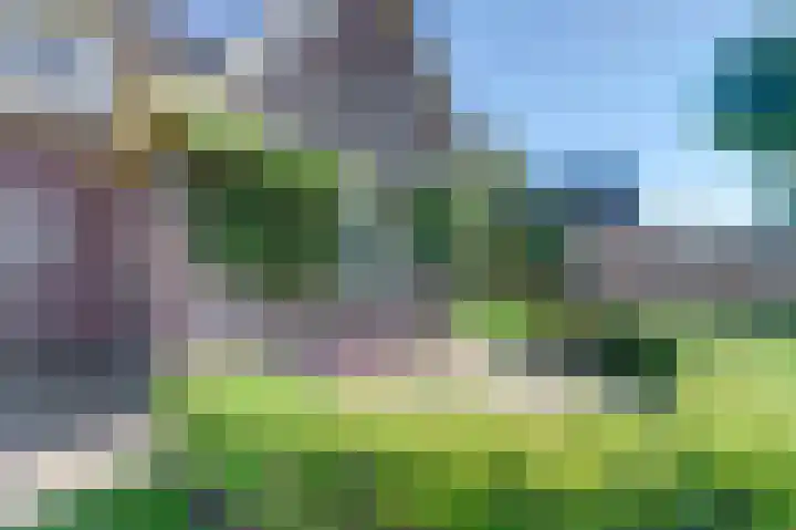 Dovenetel 10 Udenhout thumbnail 35