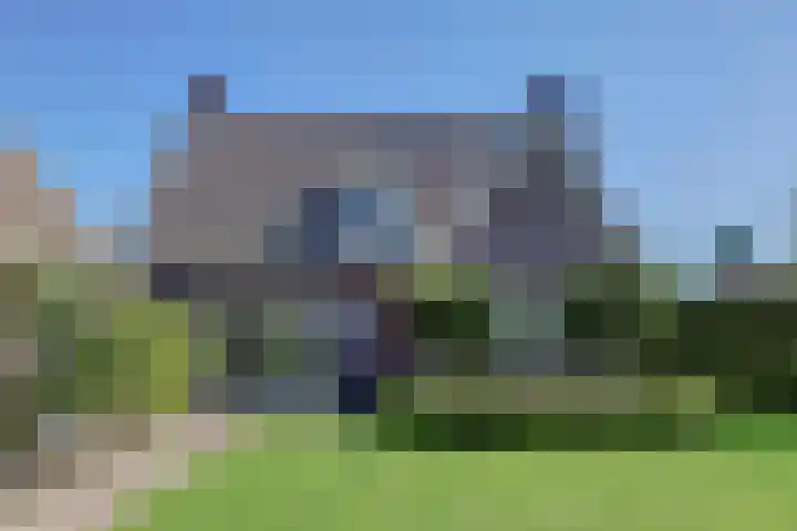 Dovenetel 10 Udenhout thumbnail 36