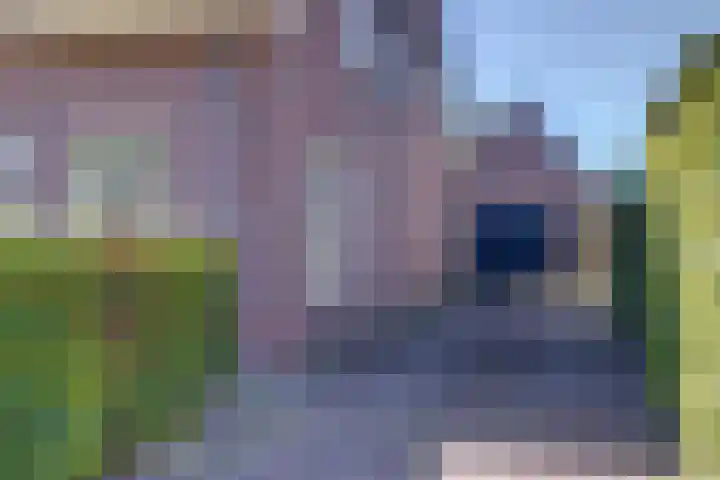 Dovenetel 10 Udenhout thumbnail 4