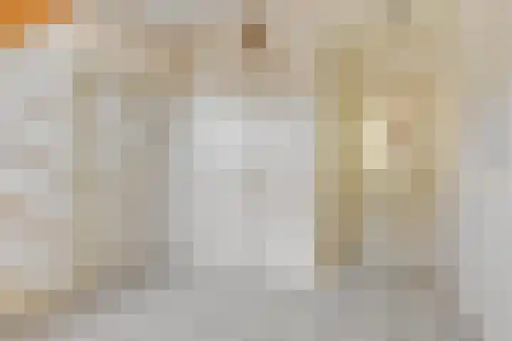 Dovenetel 10 Udenhout thumbnail 5