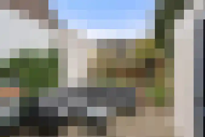 Dovenetel 13 Bennekom thumbnail 10