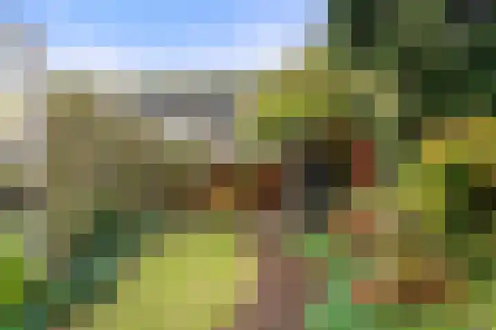 Dovenetel 13 Bennekom thumbnail 12