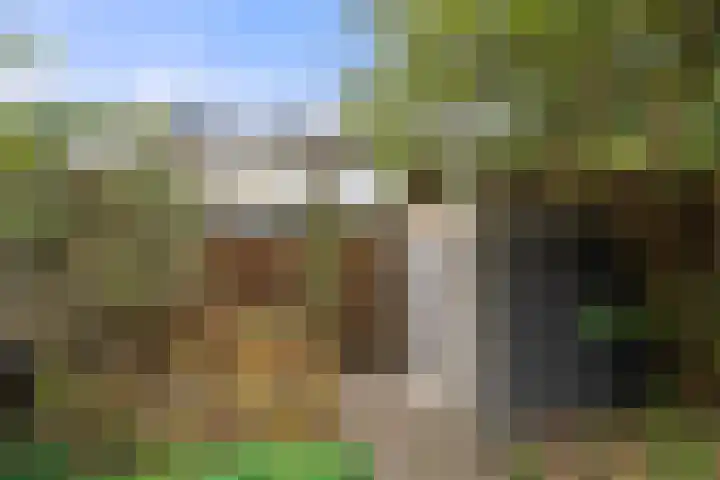 Dovenetel 13 Bennekom thumbnail 13